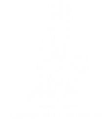 Ecurie Du Guinefort Centre Equestre Dinan LOGO SEMI ROSE BLANC