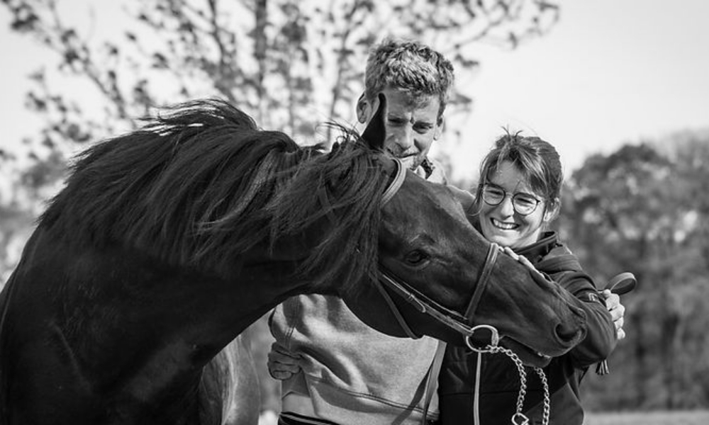 Ecurie Du Guinefort Centre Equestre Dinan Actualite1