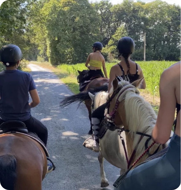 Ecurie Du Guinefort Centre Equestre Dinan Balade 3