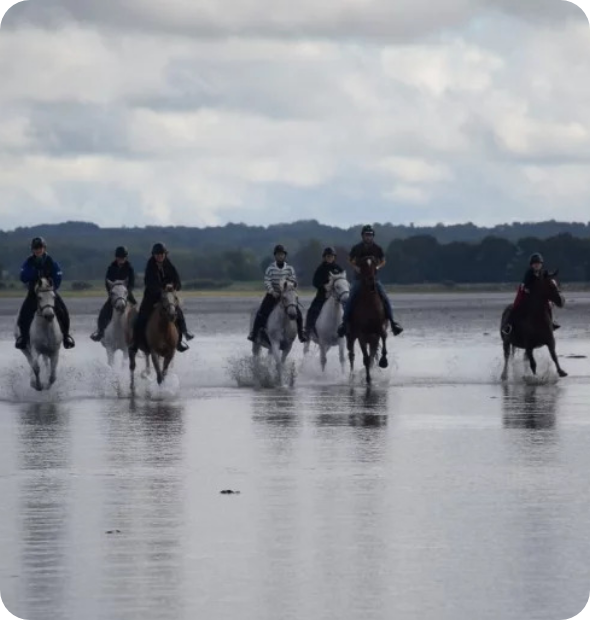Ecurie Du Guinefort Centre Equestre Dinan Balade 4