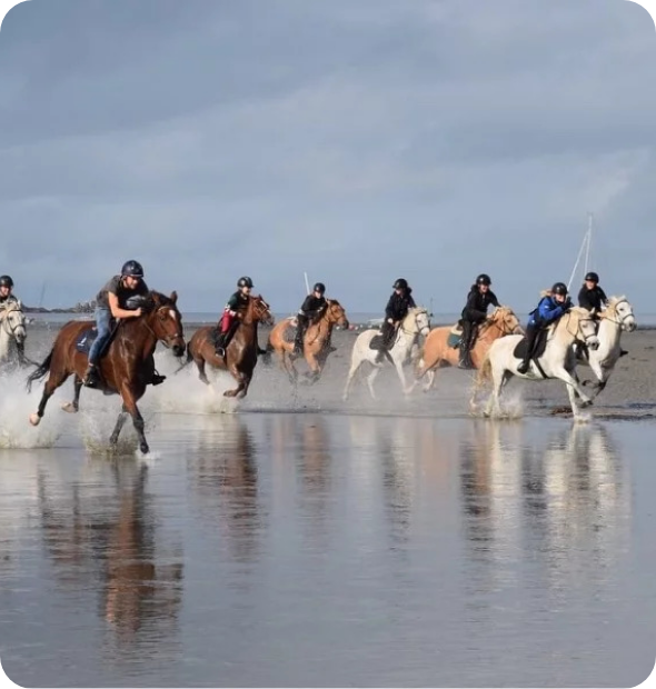 Ecurie Du Guinefort Centre Equestre Dinan Balade 5