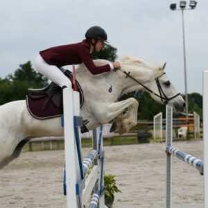 Ecurie Du Guinefort Centre Equestre Dinan 352436281 589622383014819 7985045150853181654 N